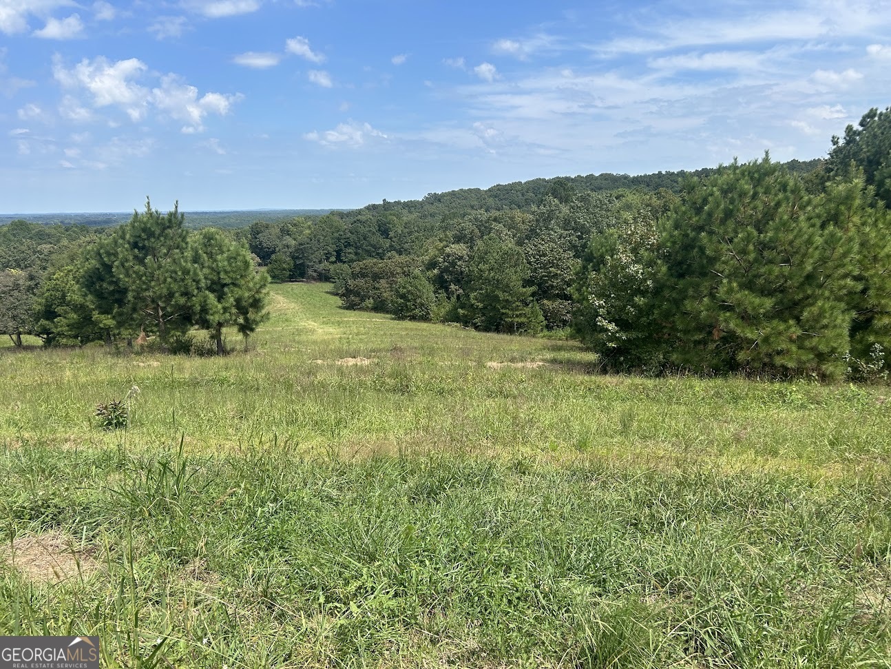 0 Blackjack Mountain Road, Unit TRACT 225 ACRES) Bowdon, GA 30108 - Photo 22 of 40 a view of a big yard with large trees