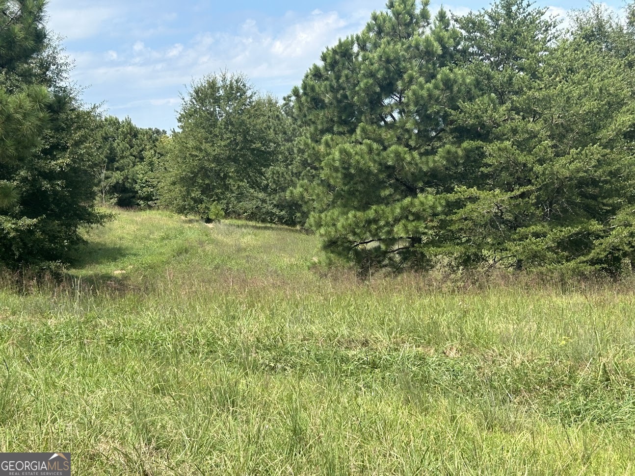 0 Blackjack Mountain Road, Unit TRACT 225 ACRES) Bowdon, GA 30108 - Photo 25 of 40 a view of a lush green space