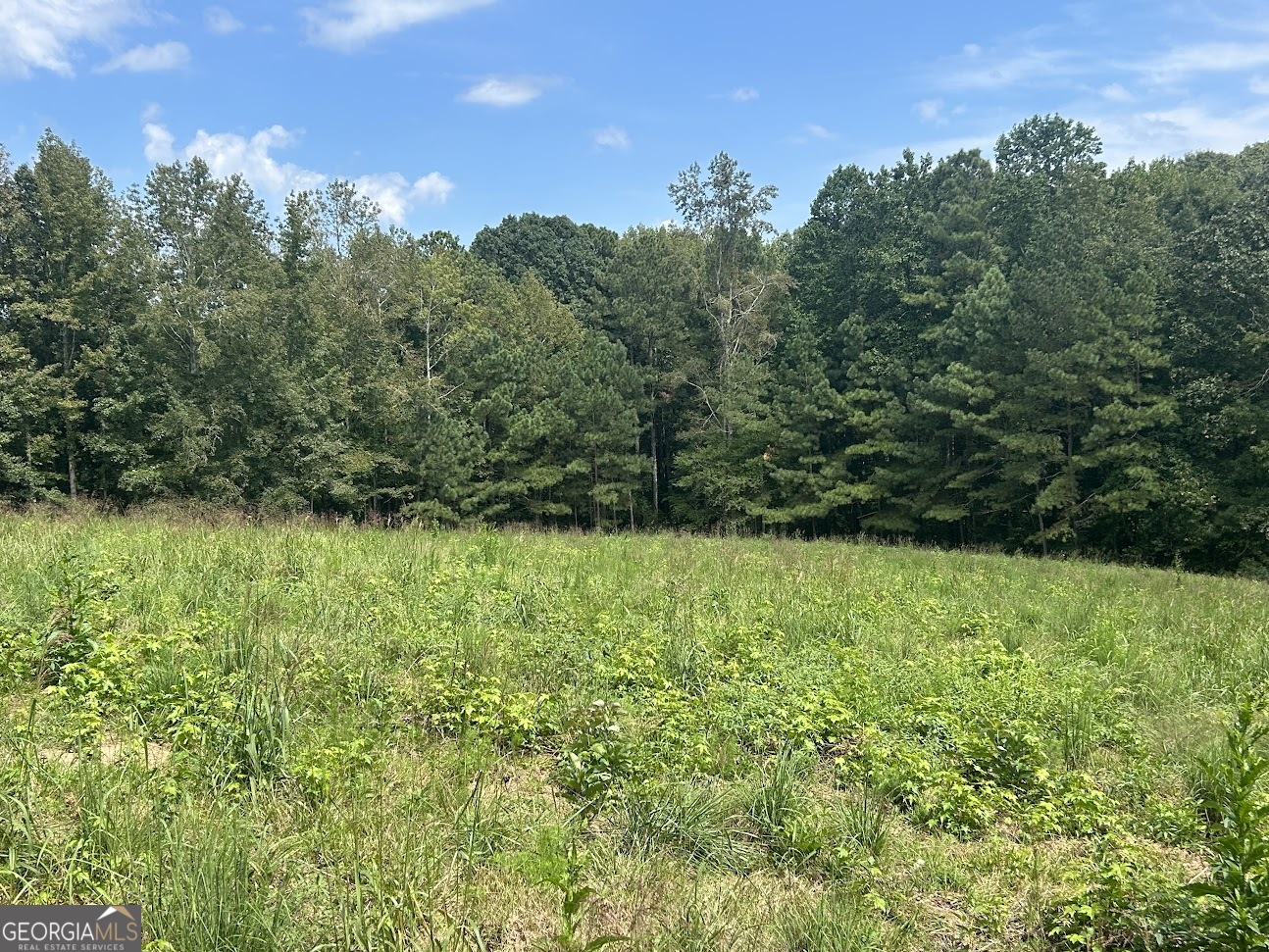 0 Blackjack Mountain Road, Unit TRACT 225 ACRES) Bowdon, GA 30108 - Photo 26 of 40