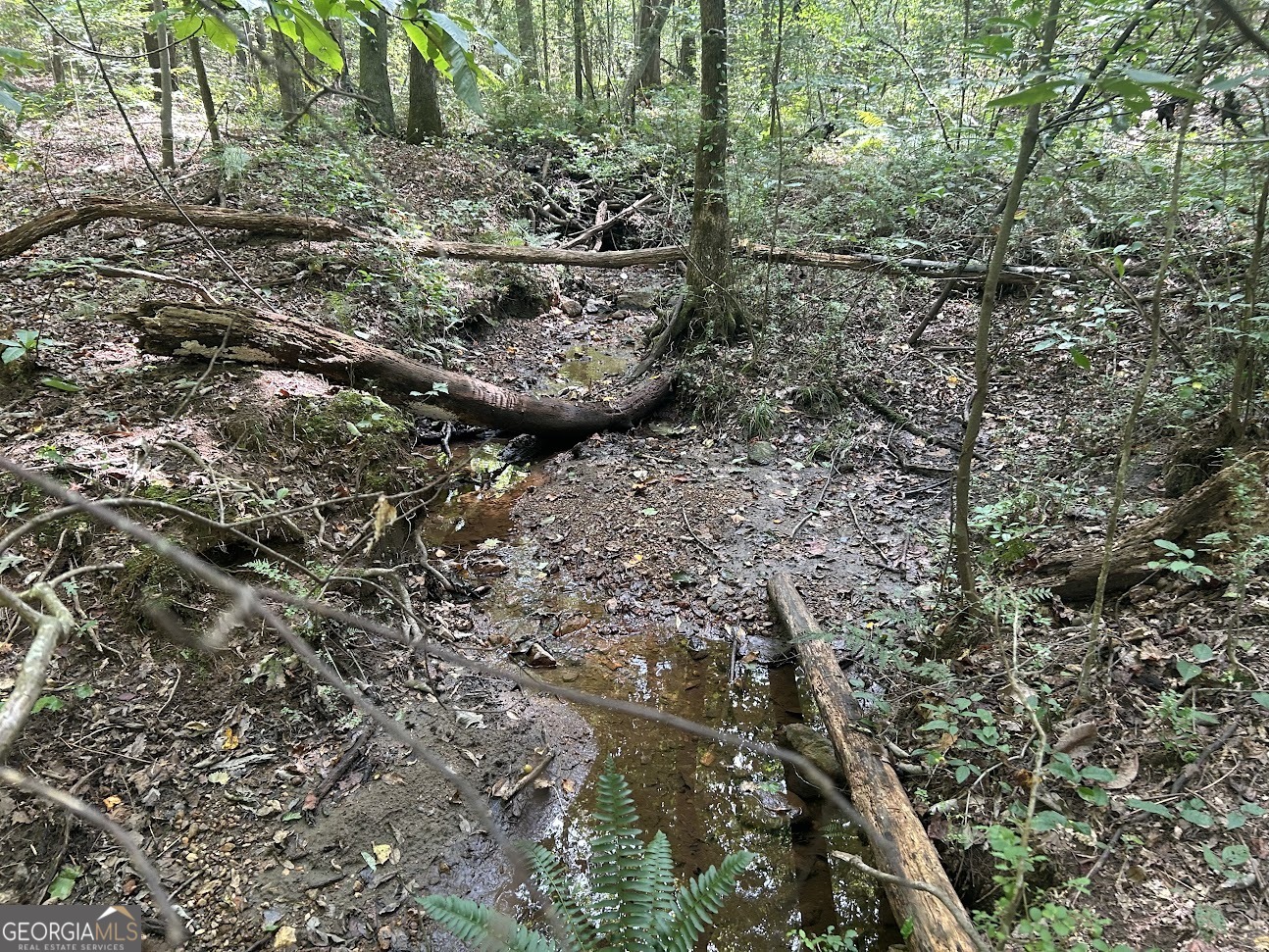 0 Blackjack Mountain Road, Unit TRACT 225 ACRES) Bowdon, GA 30108 - Photo 27 of 40 a view of outdoor space and a yard