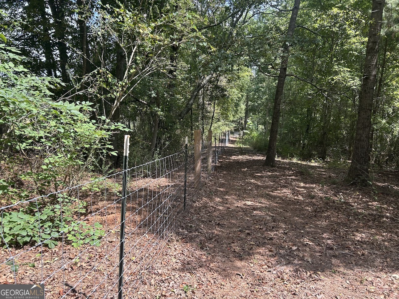 0 Blackjack Mountain Road, Unit TRACT 225 ACRES) Bowdon, GA 30108 - Photo 30 of 40 a view of a forest filled with trees