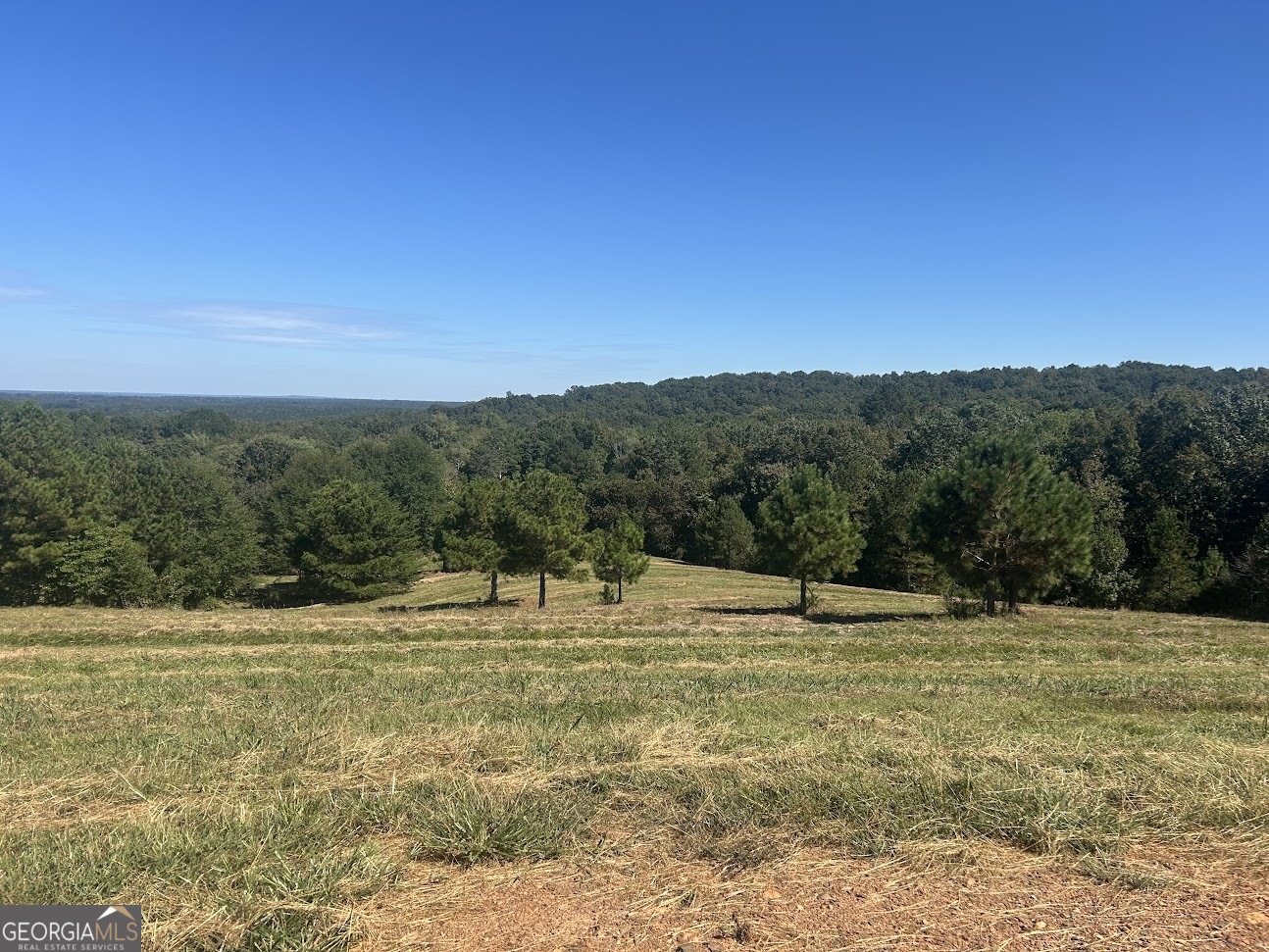 0 Blackjack Mountain Road, Unit TRACT 225 ACRES) Bowdon, GA 30108 - Photo 3 of 40 a view of outdoor space with mountain view