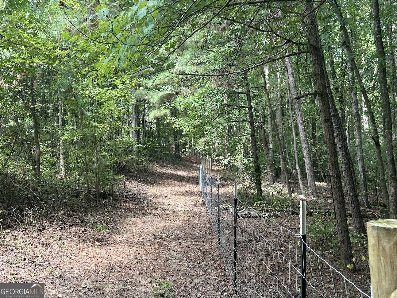 0 Blackjack Mountain Road, Unit TRACT 225 ACRES) Bowdon, GA 30108 - Photo 31 of 40 a backyard of a house with lots of green space
