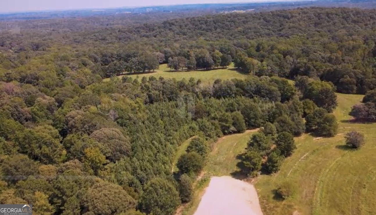 0 Blackjack Mountain Road, Unit TRACT 225 ACRES) Bowdon, GA 30108 - Photo 32 of 40 a view of a houses with a yard