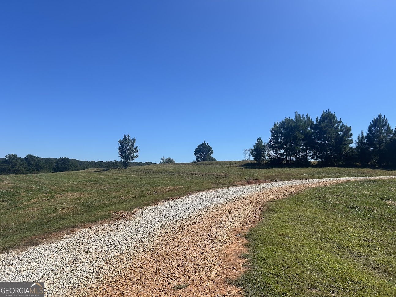 0 Blackjack Mountain Road, Unit TRACT 225 ACRES) Bowdon, GA 30108 - Photo 33 of 40 a view of a lake