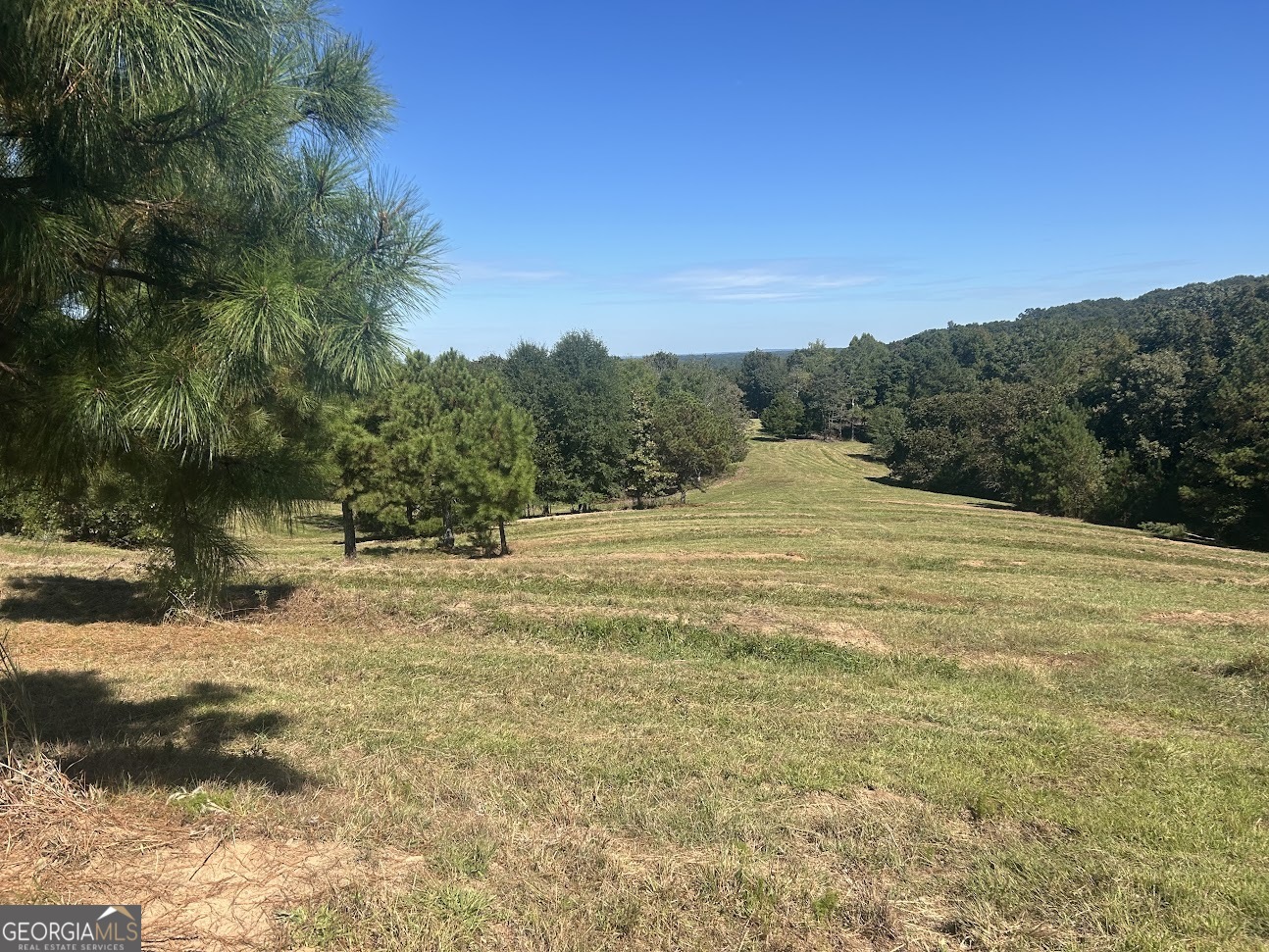 0 Blackjack Mountain Road, Unit TRACT 225 ACRES) Bowdon, GA 30108 - Photo 34 of 40 a view of a yard with an trees