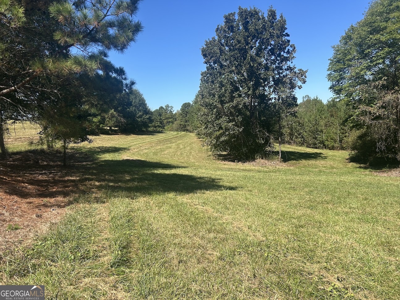 0 Blackjack Mountain Road, Unit TRACT 225 ACRES) Bowdon, GA 30108 - Photo 35 of 40 a view of a yard