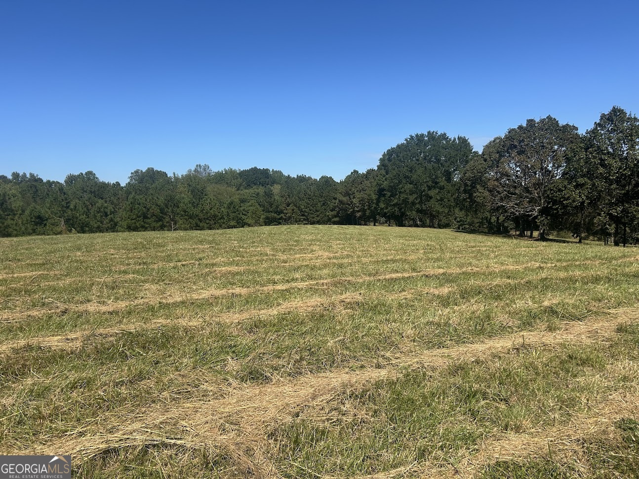 0 Blackjack Mountain Road, Unit TRACT 225 ACRES) Bowdon, GA 30108 - Photo 36 of 40 a view of an ocean from a yard