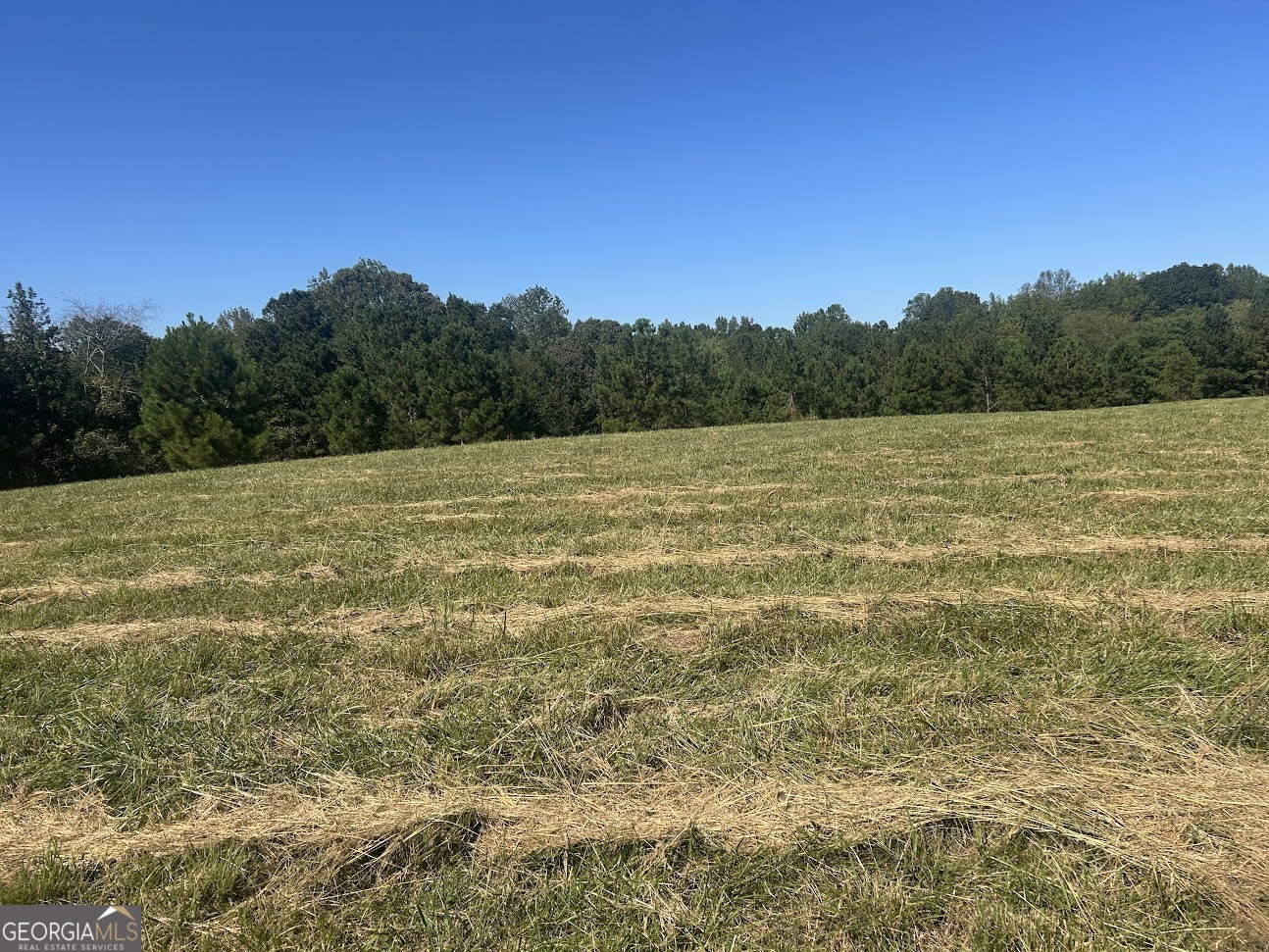 0 Blackjack Mountain Road, Unit TRACT 225 ACRES) Bowdon, GA 30108 - Photo 37 of 40 a view of an outdoor space and a yard