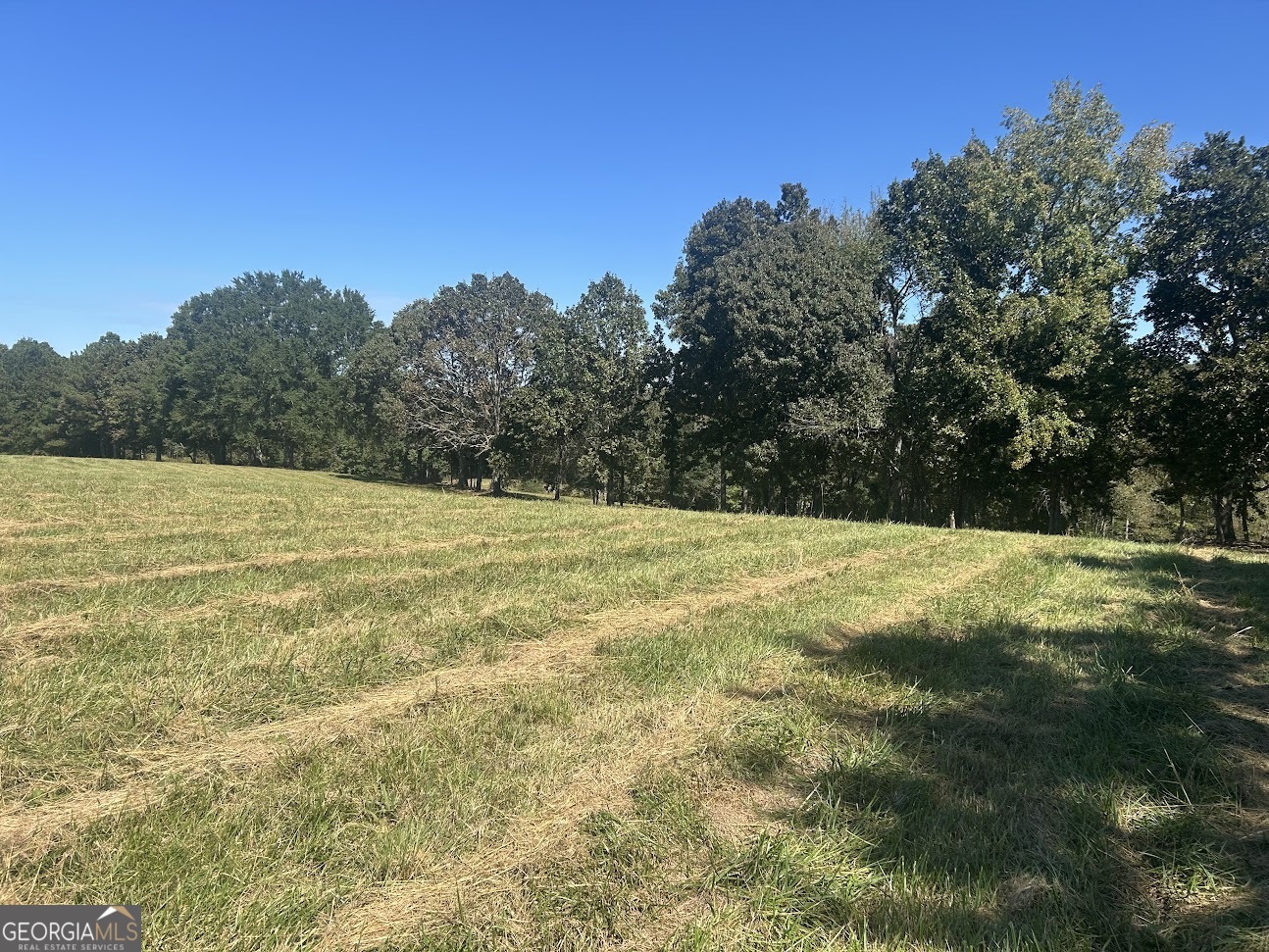 0 Blackjack Mountain Road, Unit TRACT 225 ACRES) Bowdon, GA 30108 - Photo 38 of 40 a view of a field with trees in the background