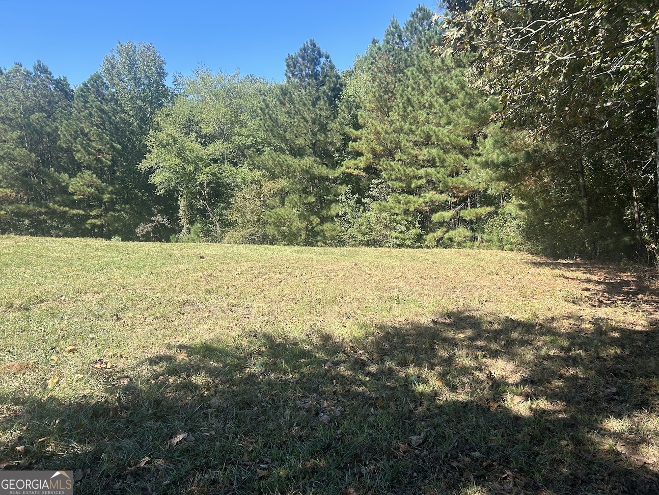 0 Blackjack Mountain Road, Unit TRACT 225 ACRES) Bowdon, GA 30108 - Photo 39 of 40 a view of yard with green space