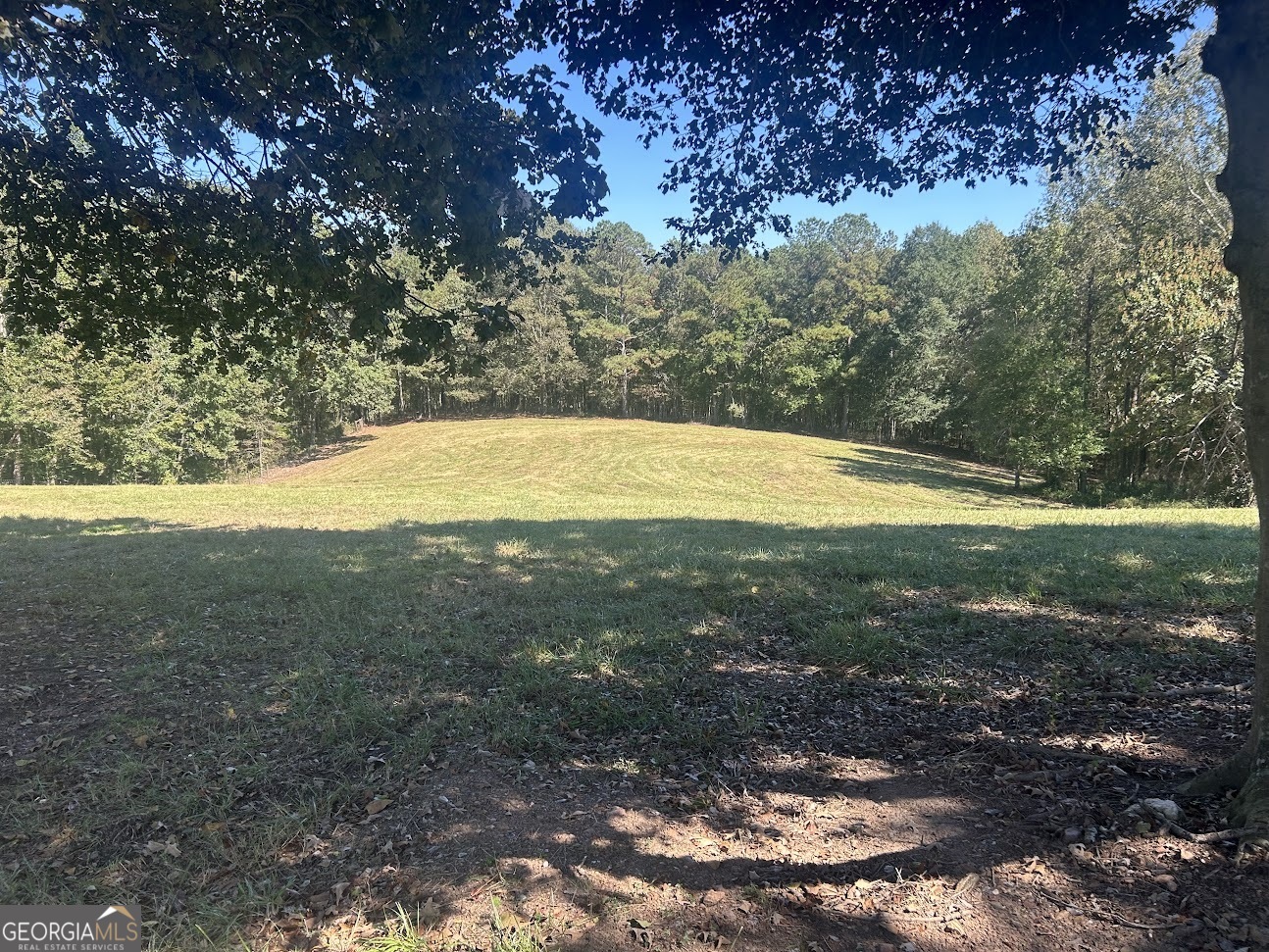 0 Blackjack Mountain Road, Unit TRACT 225 ACRES) Bowdon, GA 30108 - Photo 5 of 40 a view of outdoor space with deck and yard