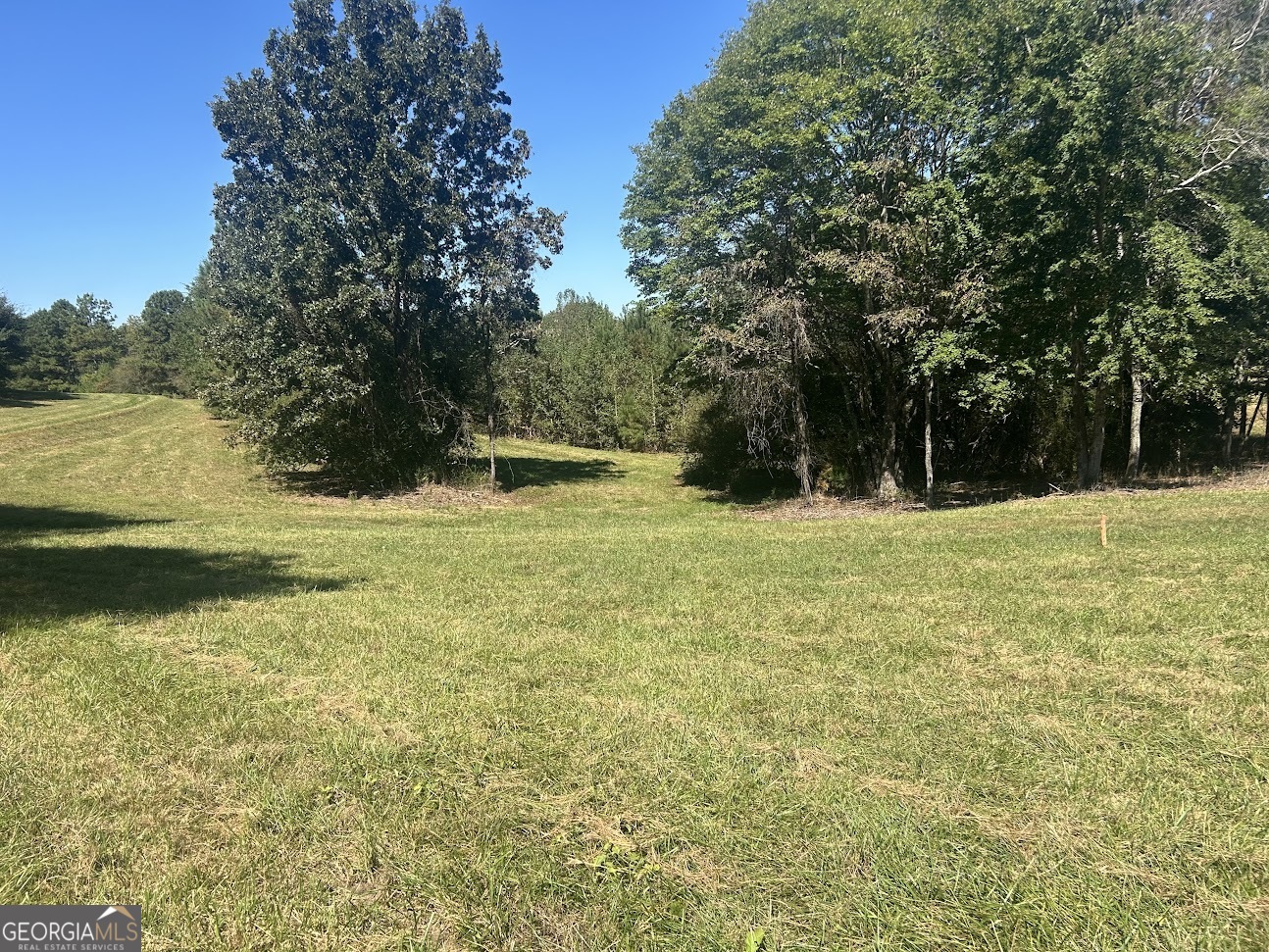 0 Blackjack Mountain Road, Unit TRACT 225 ACRES) Bowdon, GA 30108 - Photo 6 of 40 a yard with swimming pool and green space
