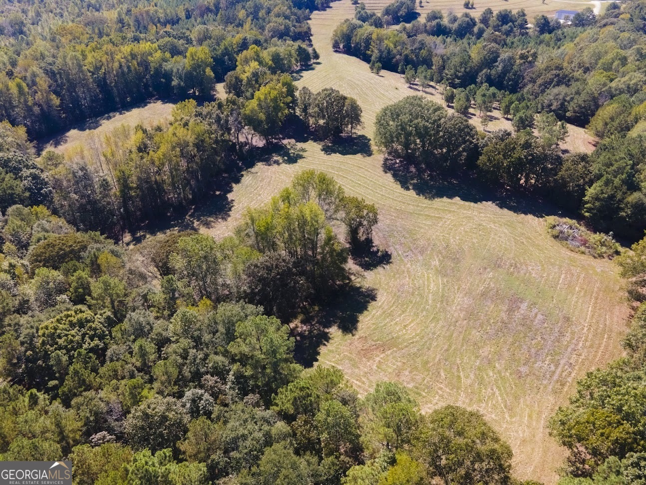 0 Blackjack Mountain Road, Unit TRACT 225 ACRES) Bowdon, GA 30108 - Photo 7 of 40 a view of a tree with a yard