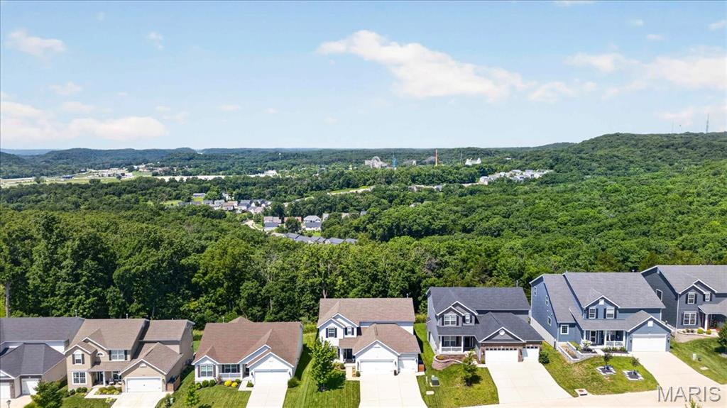 17538 Wyman Ridge Drive Eureka, MO 63025 - Photo 46 of 52
