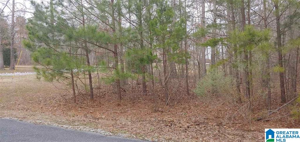 0 Timber Trail, Unit 17 Ashville, AL 35953 - Photo 1 of 1