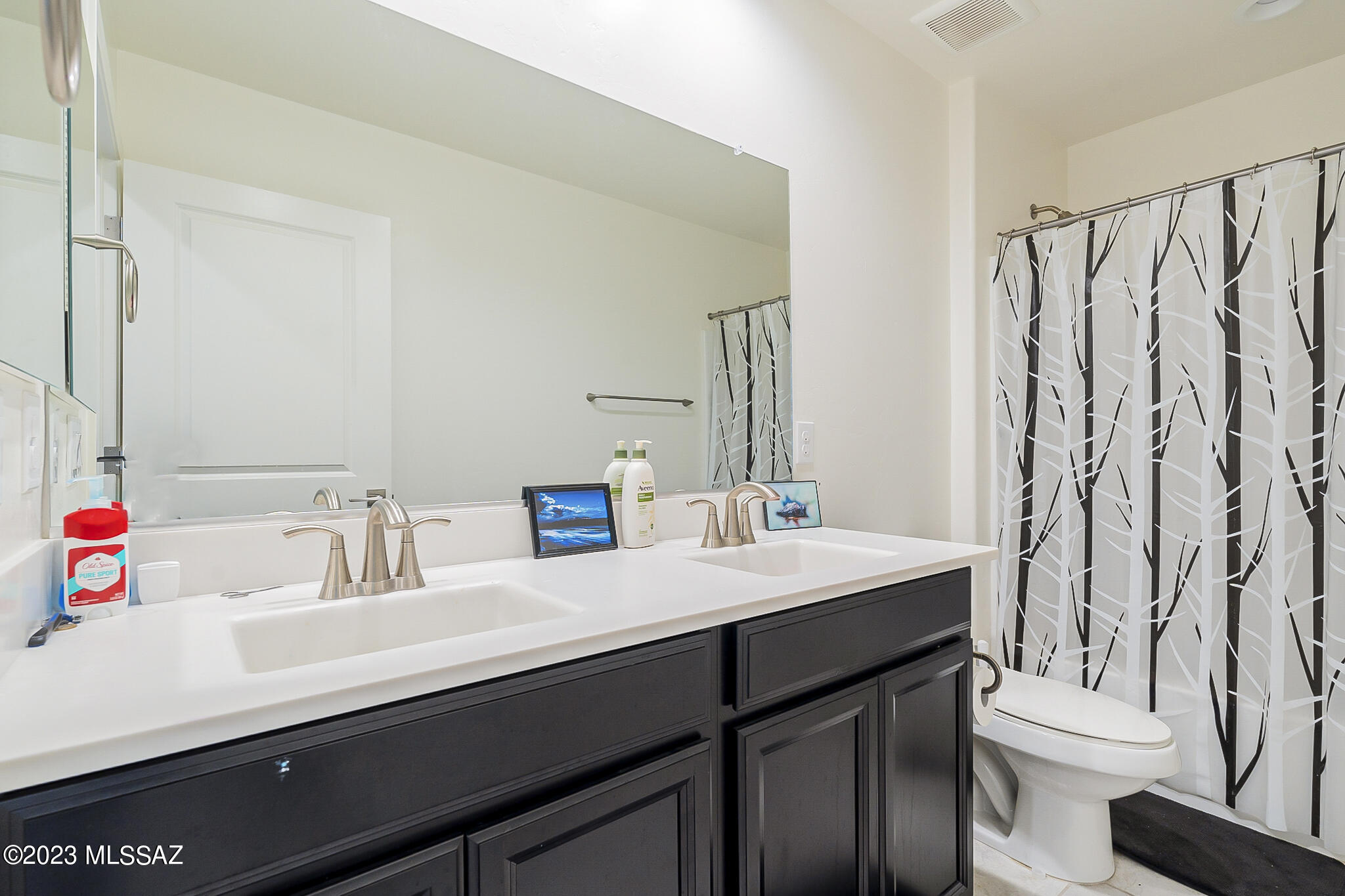 7544 South Circulo Rio Blanco Tucson, AZ 85756 - Photo 21 of 49 Gallery Image 21
