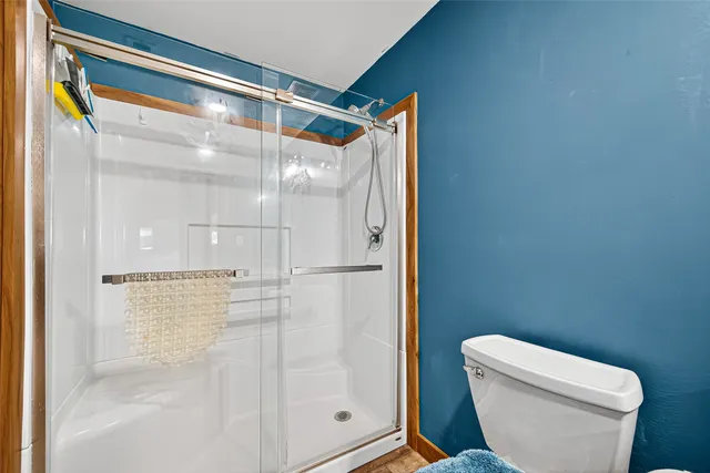 a bathroom with a shower and toilet
