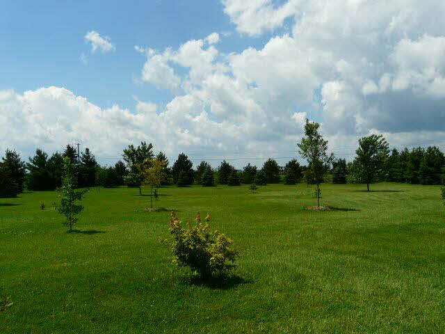 13676 Minx Road Ida, MI 48140 - Photo 19 of 20 20366189-18.JPG