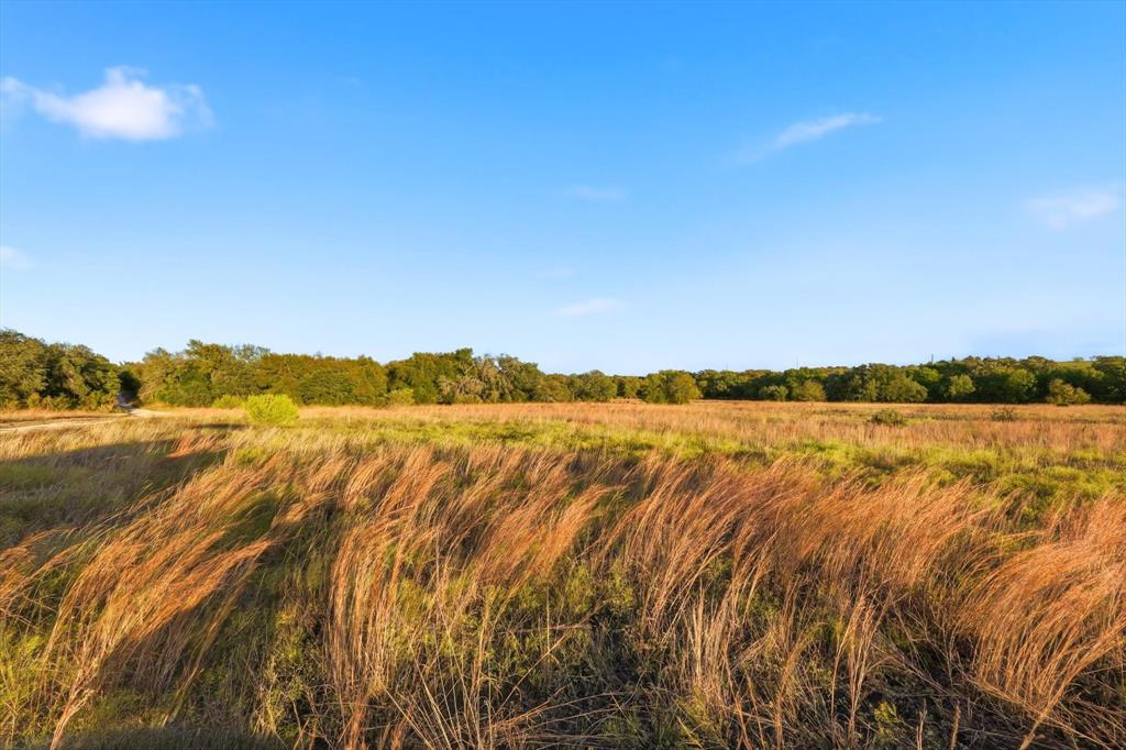 2401 Bear Creek Road Aledo, TX 76008 - Photo 22 of 37 View of local wilderness with rural landscape