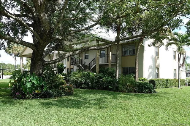 a view of a big yard with plants and large trees
