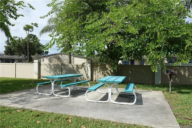 a view of a backyard with chairs and a large tree