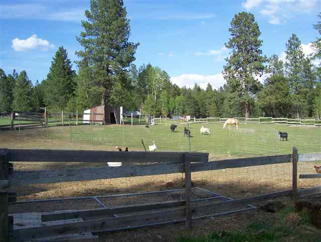 161 Bunge Road Elk, WA 99009 - Photo 8 of 9