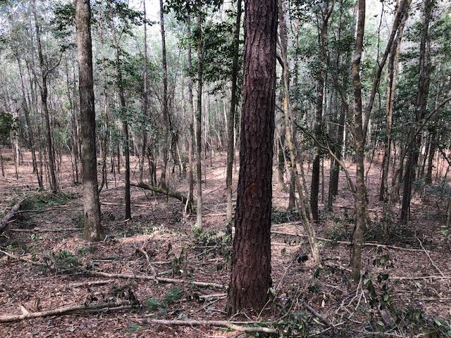 25-ac Gantt Road Andalusia, AL 36421 - Photo 33 of 36 Gallery Image 33