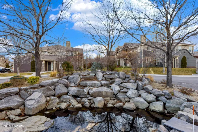 a view of a yard with plants and trees