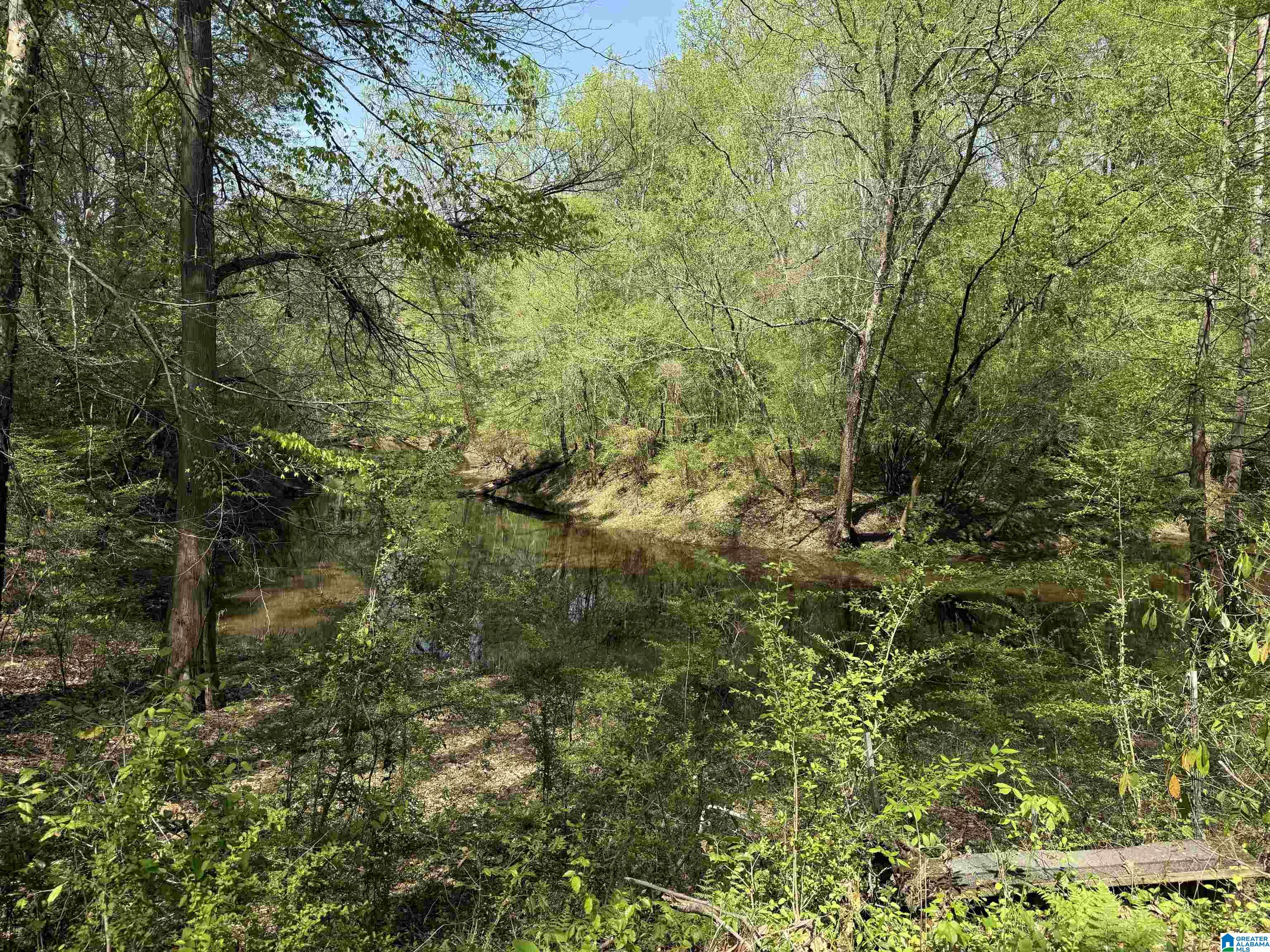 1781 Riverview Beach Road, Unit 1781 Moundville, AL 35474 - Photo 11 of 27