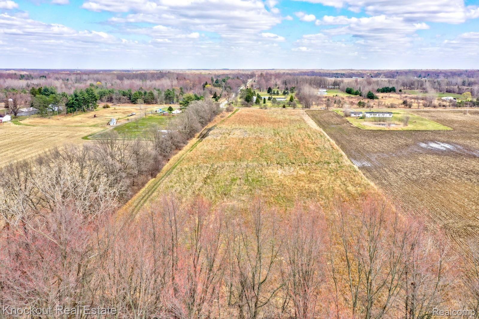 12000 South Block Road Birch Run, MI 48415 - Photo 8 of 19 12000 S Block Birch Run Lot-8.jpg