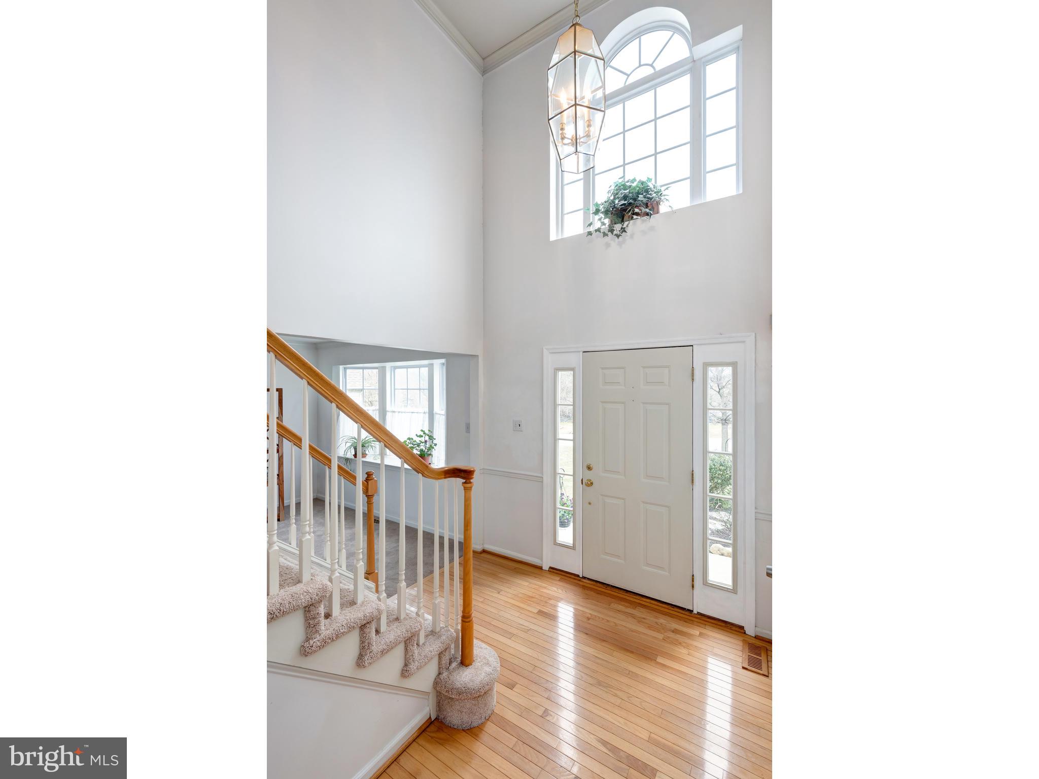 Hardwood floors in foyer