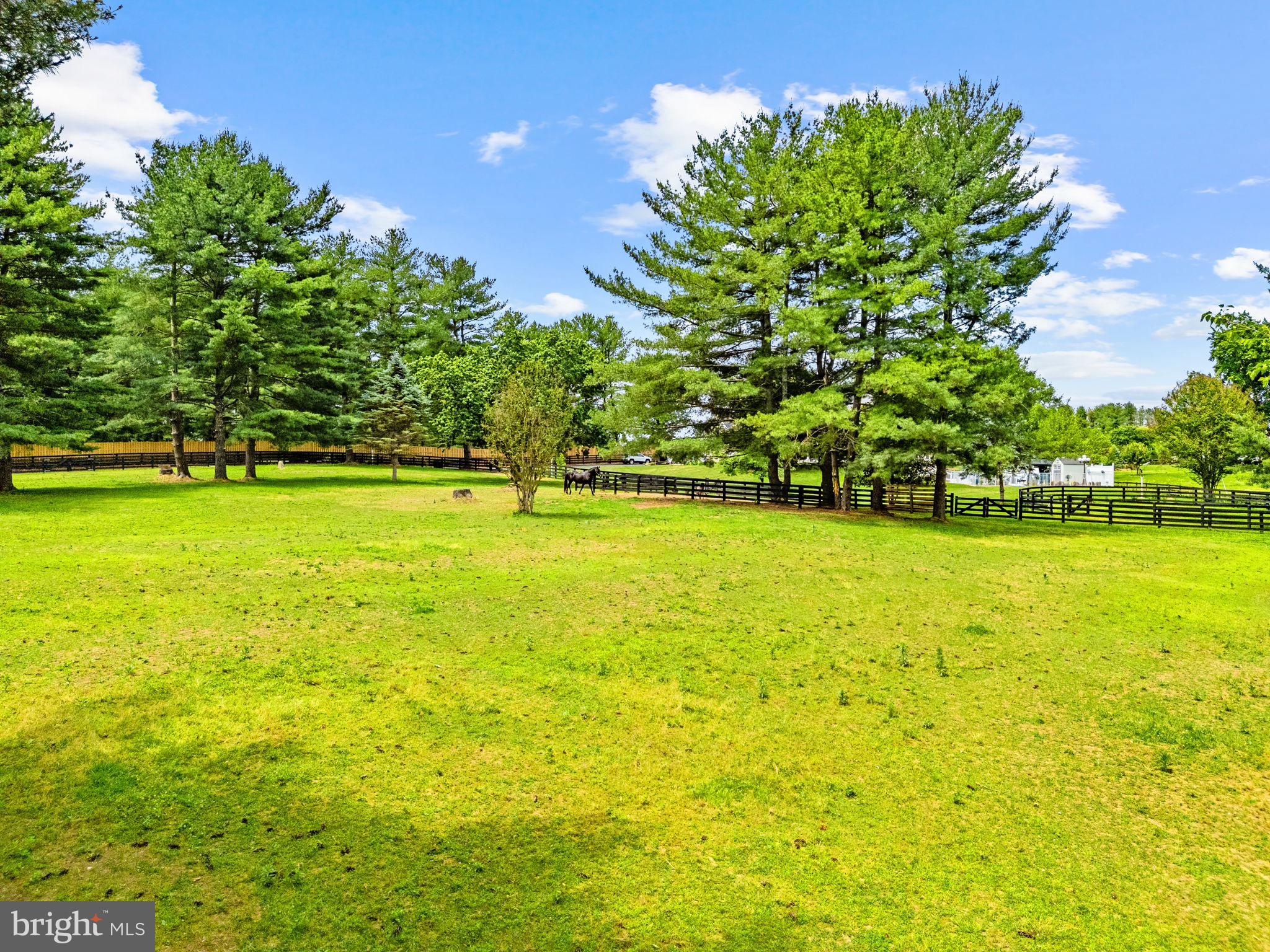 21185 St Louis Road Middleburg, VA 20117 - Photo 75 of 83