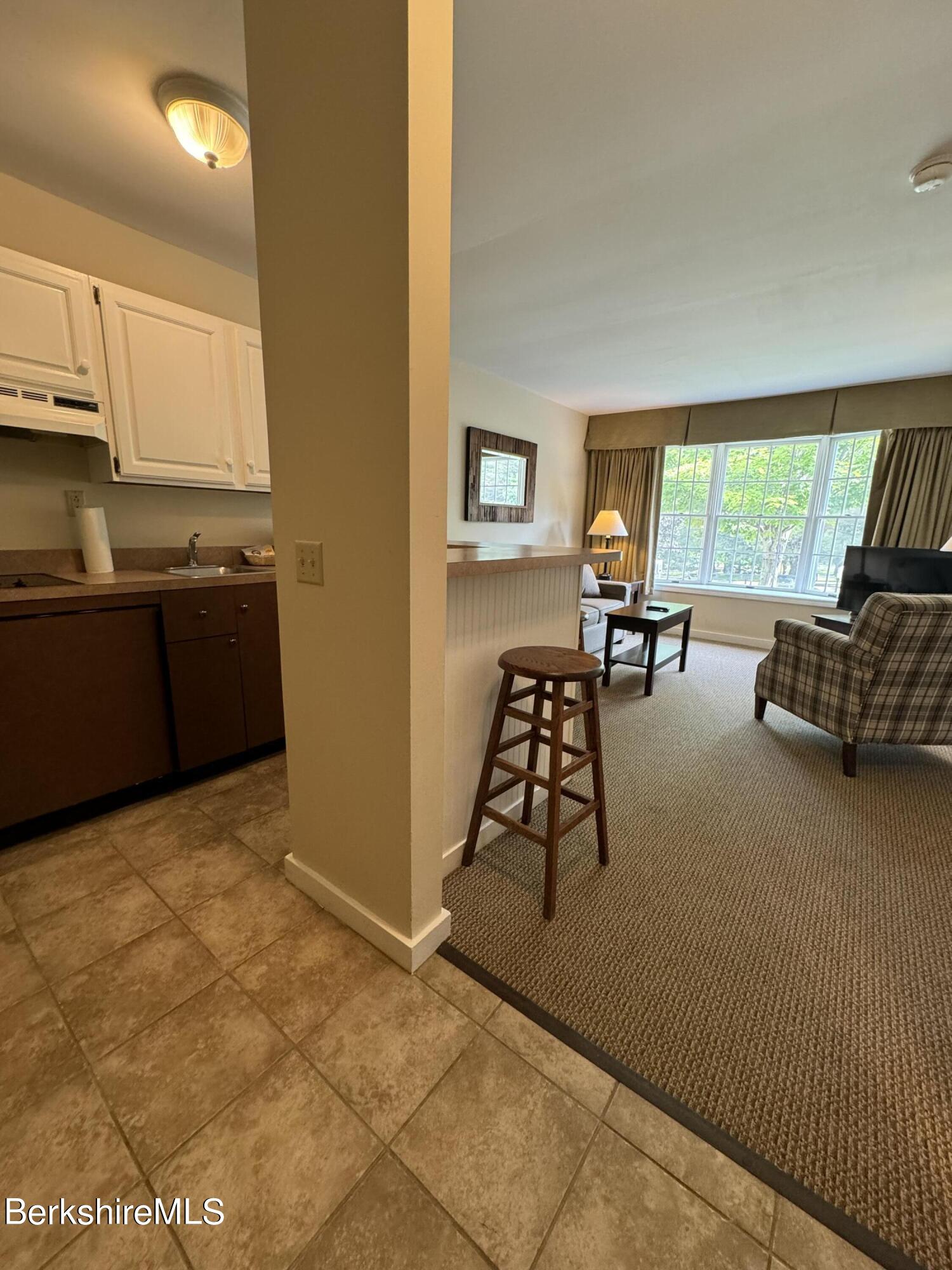 37 Corey Road, Unit 116 Hancock, MA 01237 - Photo 3 of 20 IMG_0194