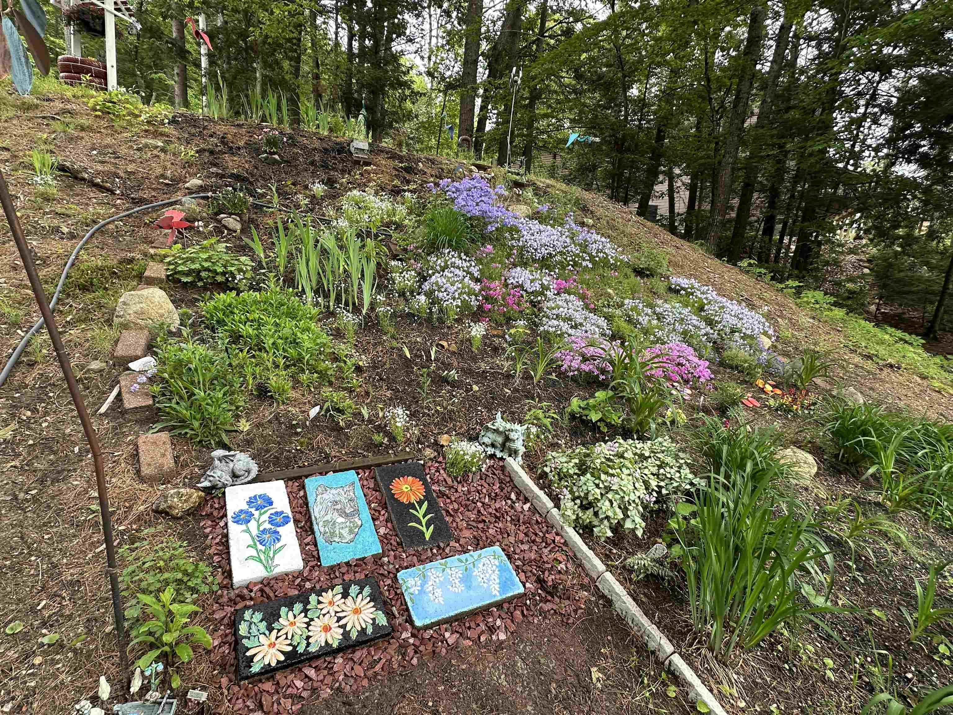 210 South Shore Road New Durham, NH 03855 - Photo 58 of 61