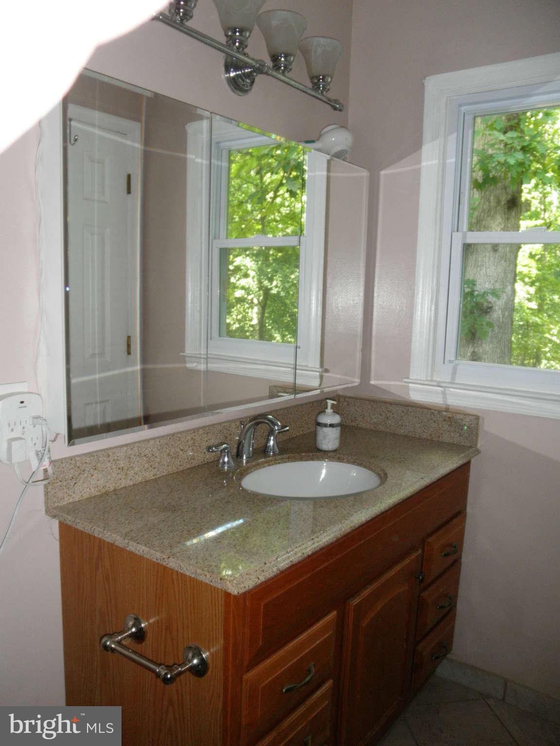 4511 Twinbrook Road Fairfax, VA 22032 - Photo 15 of 27 Master Bath