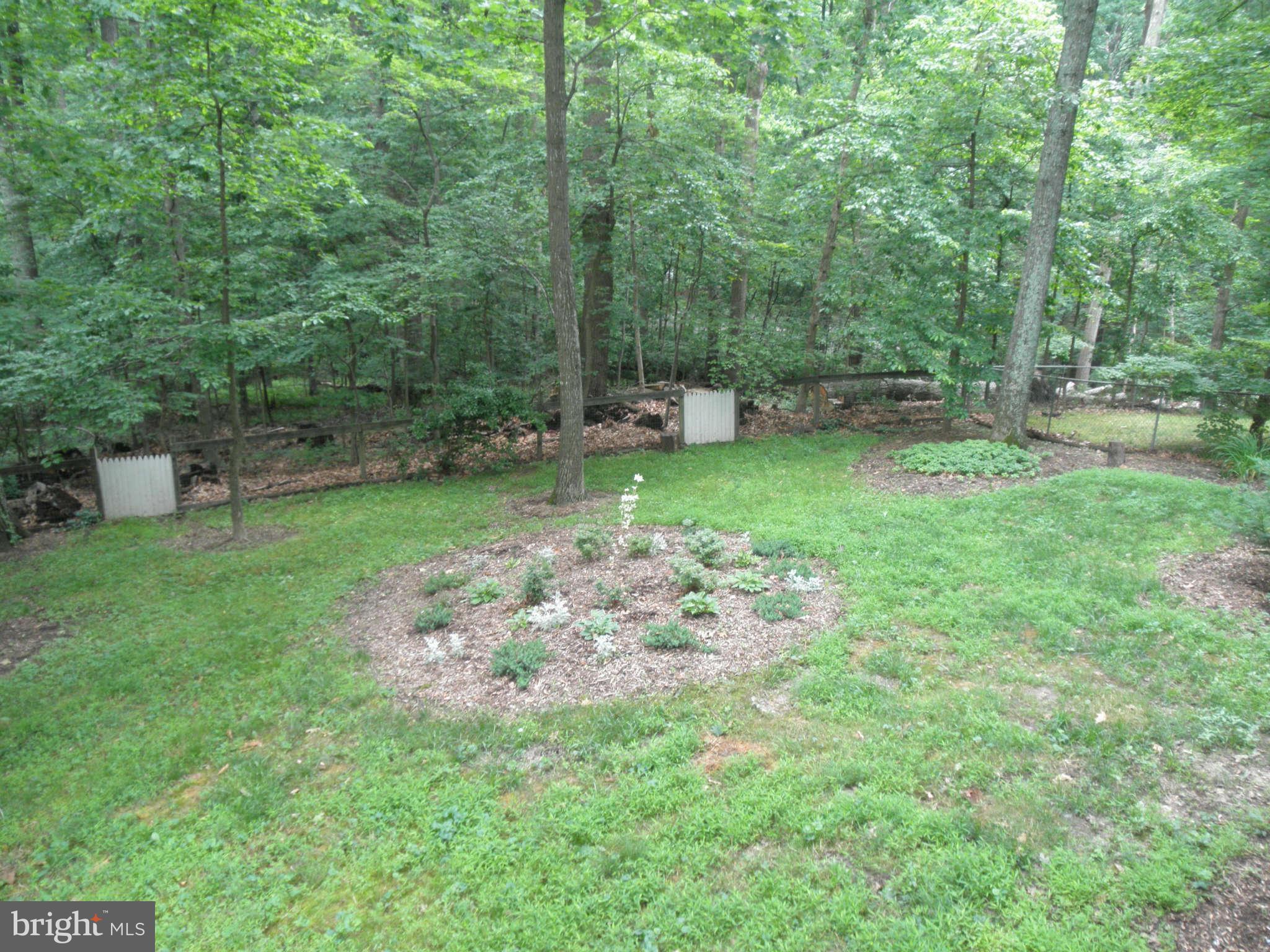 4511 Twinbrook Road Fairfax, VA 22032 - Photo 25 of 27 Backyard