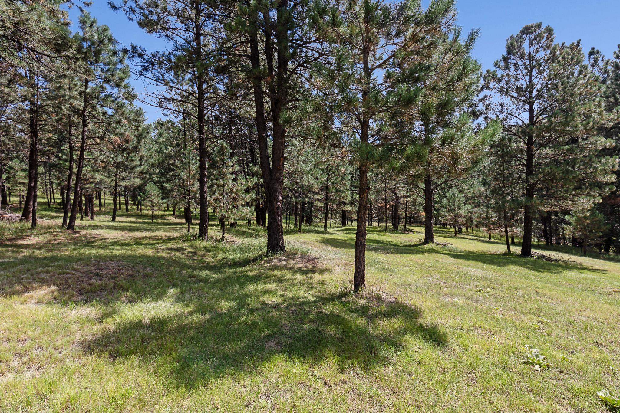 3 Allen A Dale Road Mayhill, NM 88339 - Photo 63 of 83 Gallery Image 63