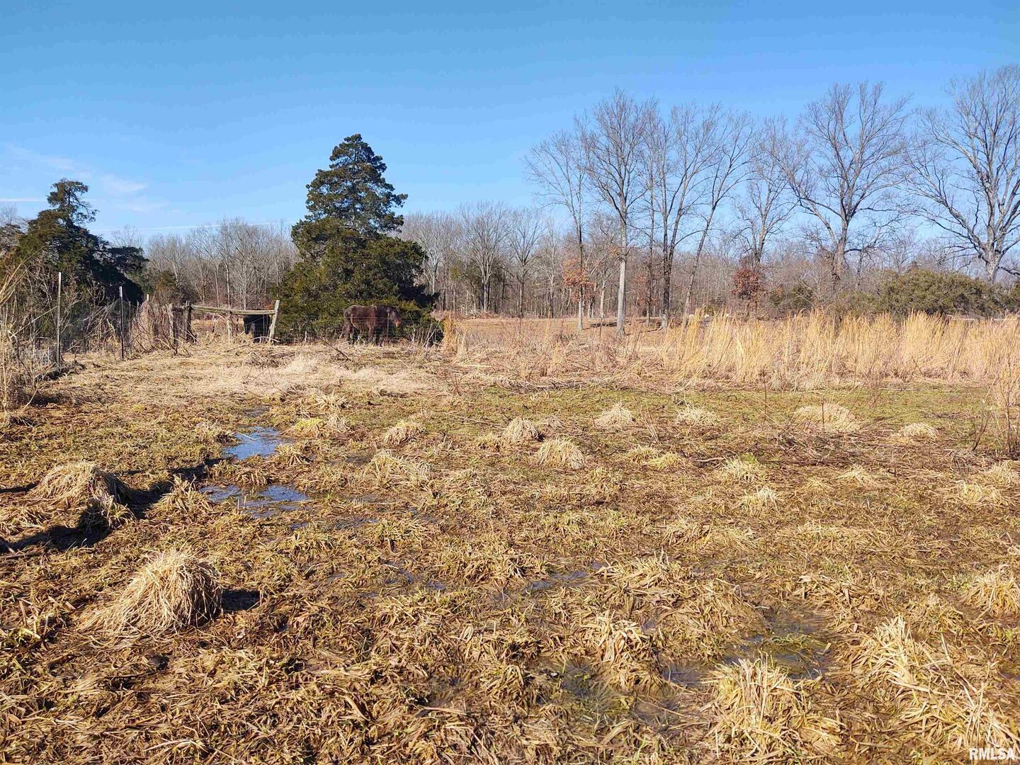 425 Pioneer Lane Vienna, IL 62995 - Photo 23 of 52