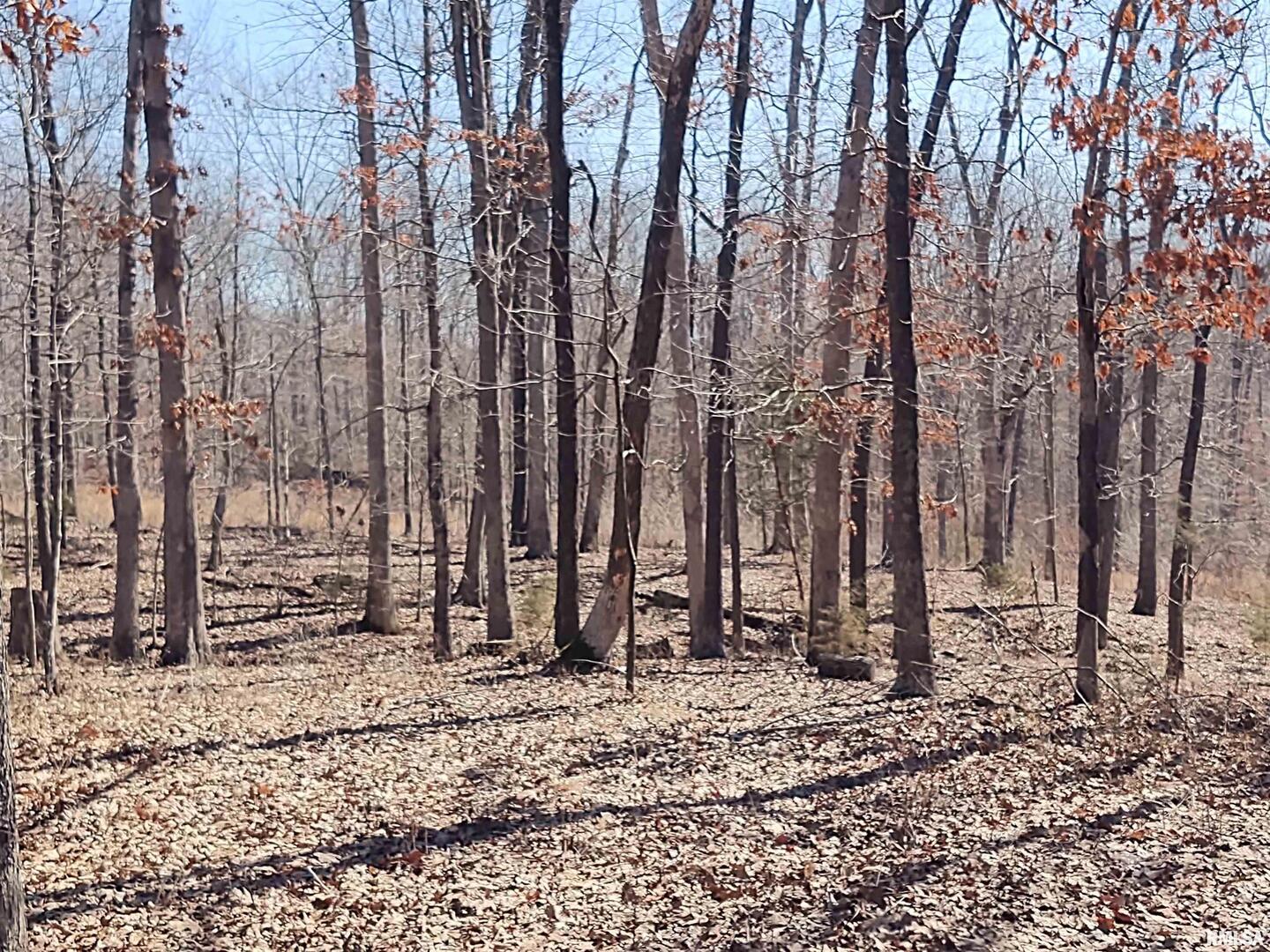 425 Pioneer Lane Vienna, IL 62995 - Photo 49 of 52