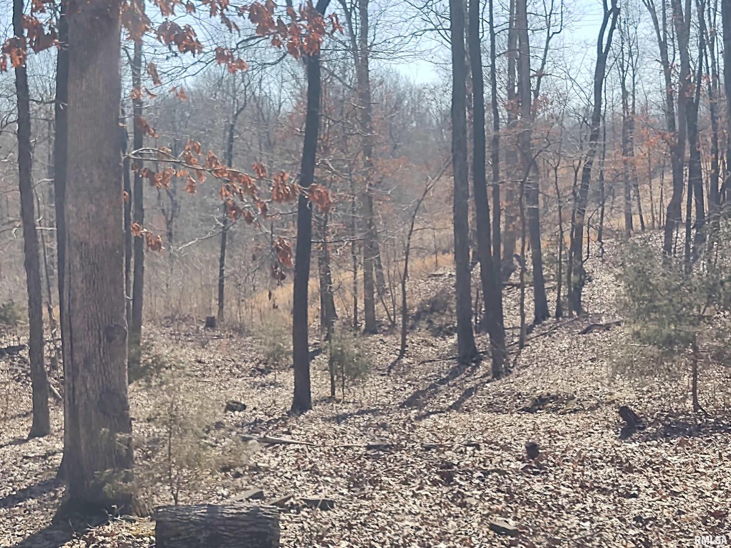 425 Pioneer Lane Vienna, IL 62995 - Photo 50 of 52