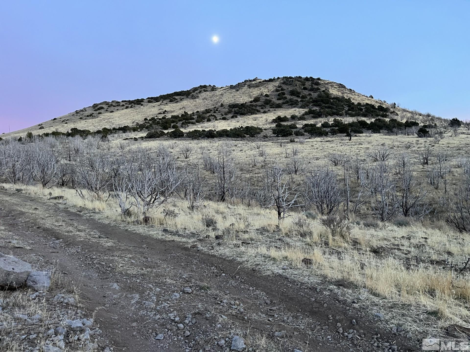 405 Stallion Drive Reno, NV 89510 - Photo 32 of 32 Photo 32