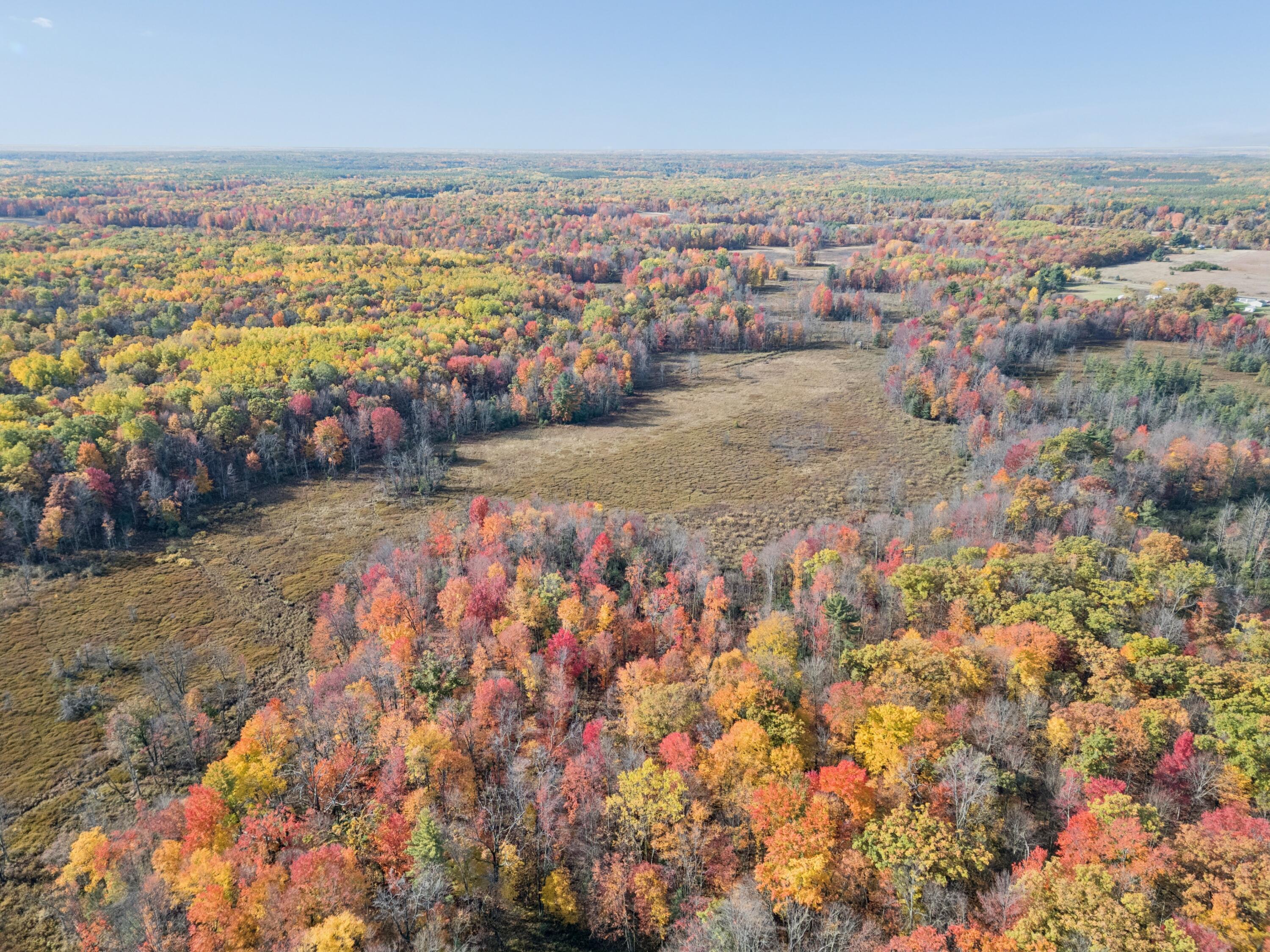 North Centerline Road White Cloud, MI 49349 - Photo 2 of 8 2