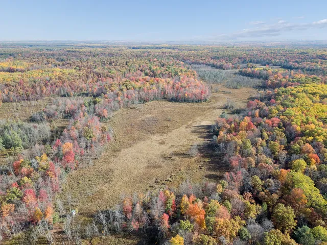 $75,000 | North Centerline Road, White Cloud, MI 49349