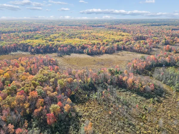 $65,000 | North Centerline Road, White Cloud, MI 49349
