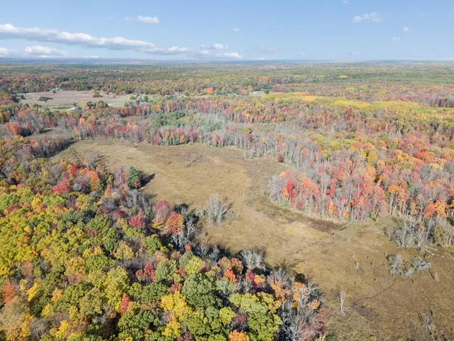 $75,000 | North Centerline Road, White Cloud, MI 49349