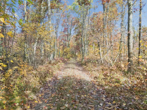 $65,000 | North Centerline Road, White Cloud, MI 49349