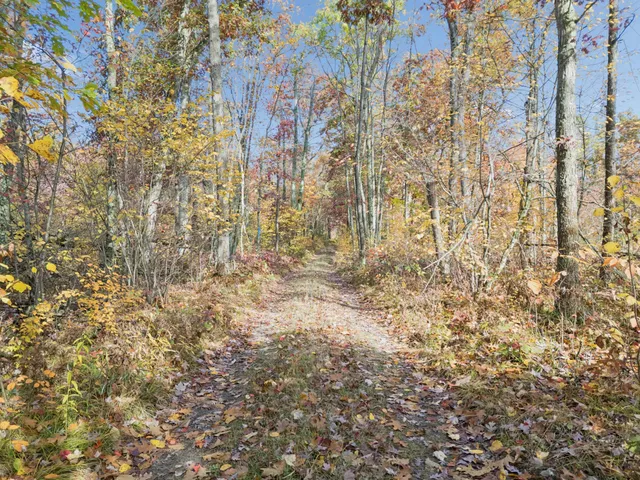 $75,000 | North Centerline Road, White Cloud, MI 49349