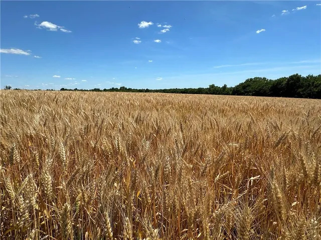 $260,000 | 2 Northeast 53rd Street, Trenton, MO 64683