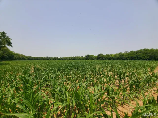 $325,000 | 1100 North 5th Street, La Grange, MO 63448